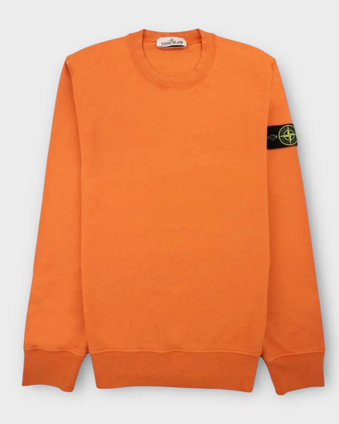 Pullover Crewneck Badge Jumper